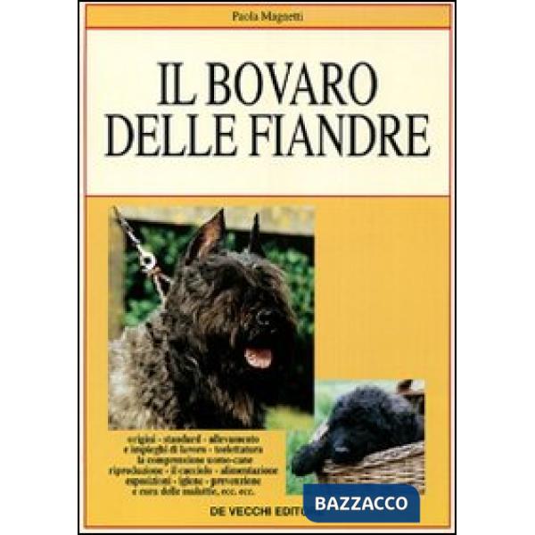 Bovaro delle Fiandre (Il)