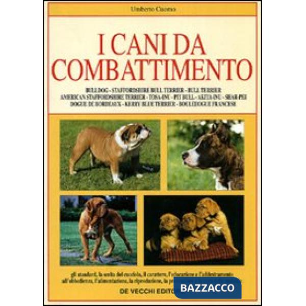 Cani da combattimento (I)