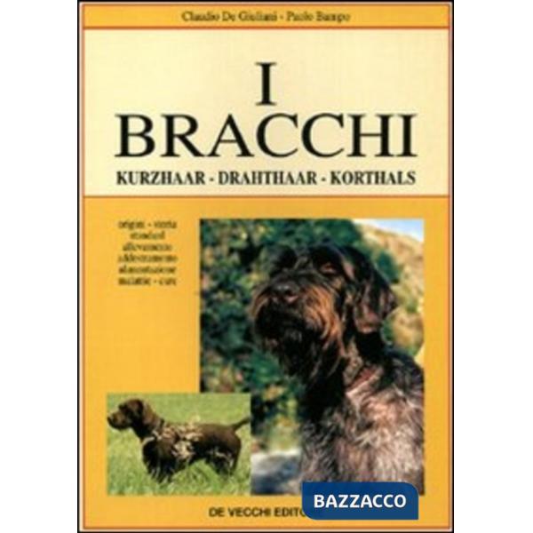 Bracchi (I)