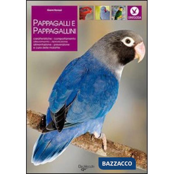 Pappagalli e pappagallini