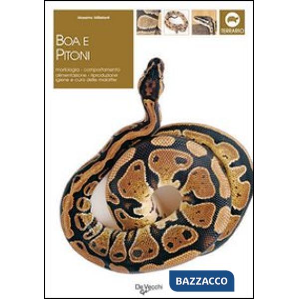 Boa e pitoni