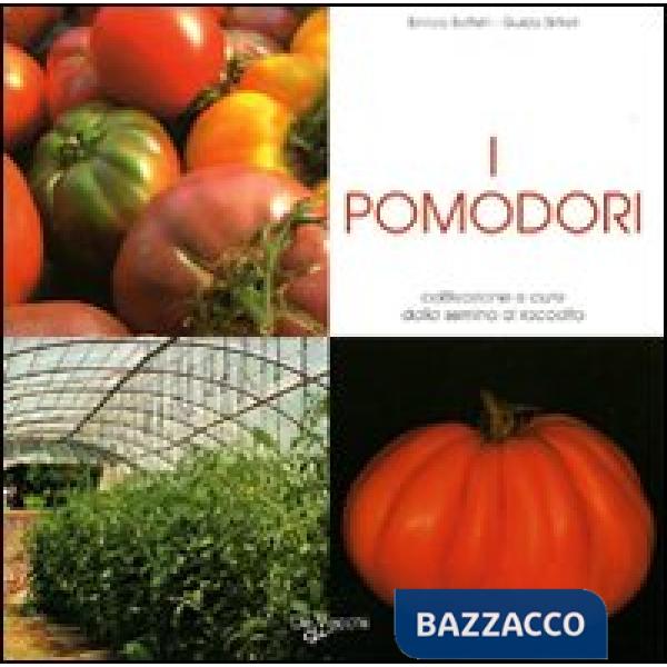 Pomodori. Coltivazione e cure dalla semina al raccolto (I)