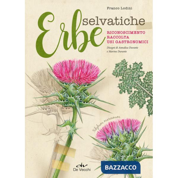 Erbe selvatiche. Riconoscimento. Raccolta. Usi gastronomici