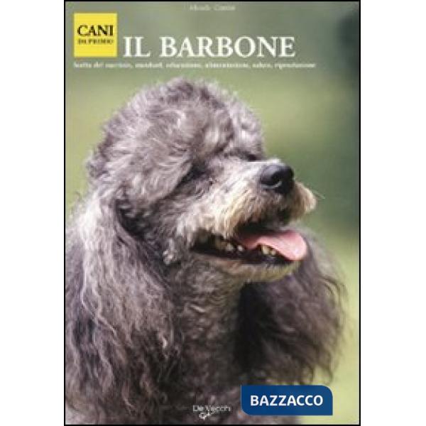Barbone (Il)