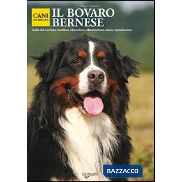 Bovaro bernese (Il)