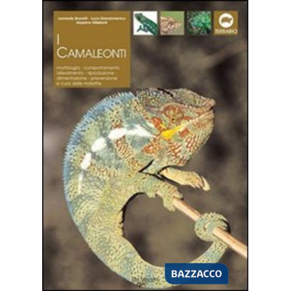 Camaleonti di montagna, di pianura e nani (I)