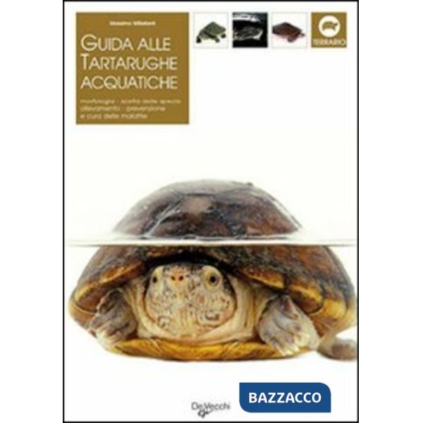 Guida alle tartarughe acquatiche