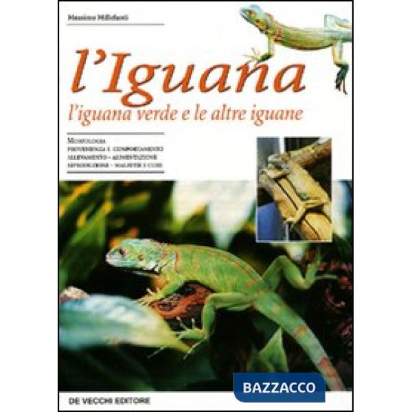 Iguana. L'iguana verde e le altre iguane (L')