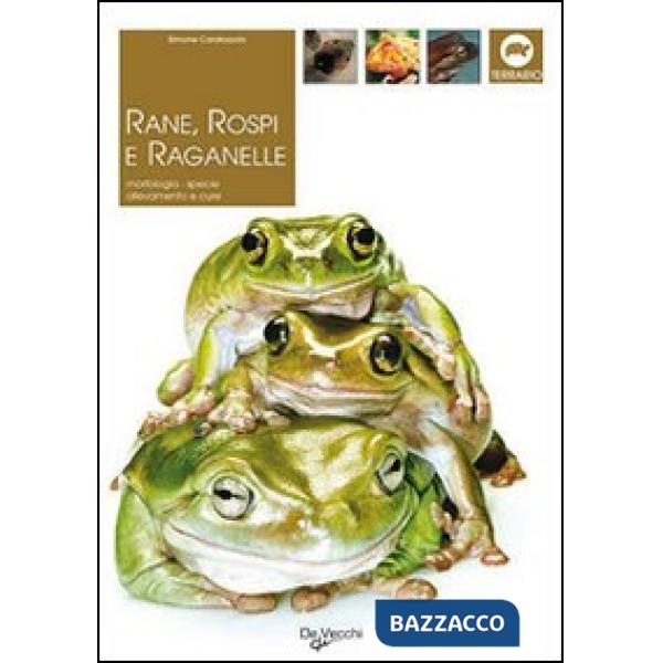 Guida alle rane, rospi e raganelle