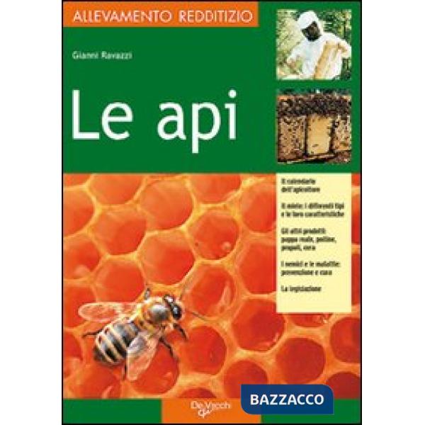 Api