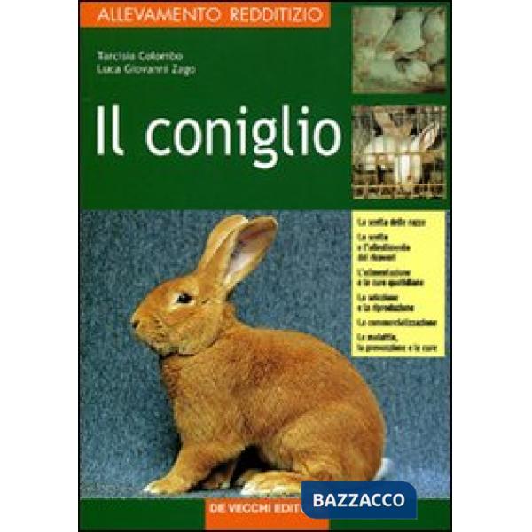 Coniglio (Il)