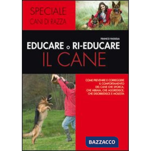 Educare o rieducare il cane