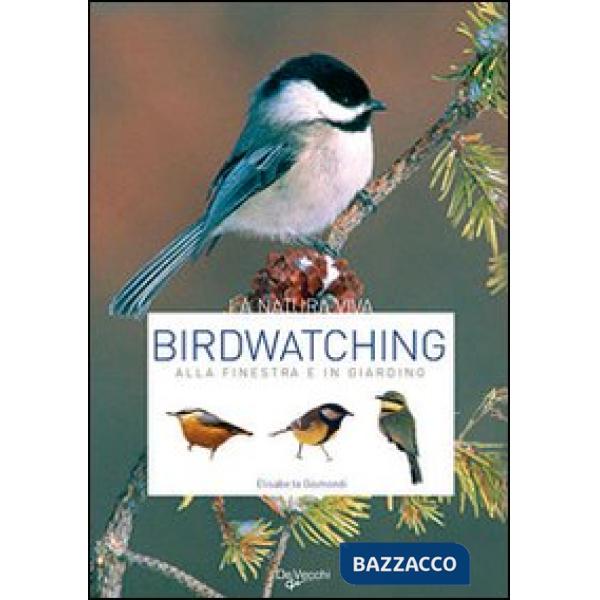 Birdwatching. Alla finestra e in giardino