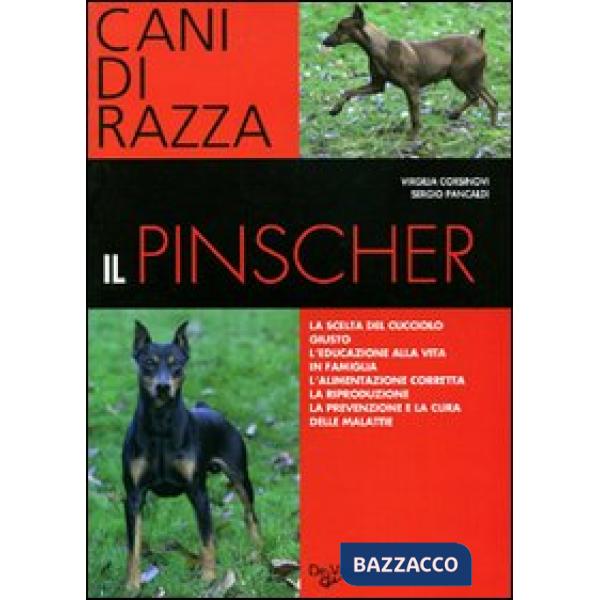 Pinscher (Il)