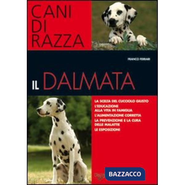 Dalmata (Il)