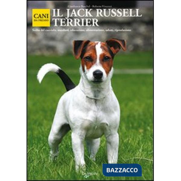 Jack Russel Terrier (Il)