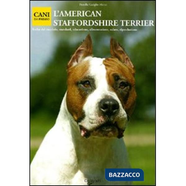 American Staffordshire Terrier (L')