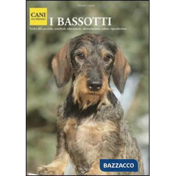 Bassotti (I)