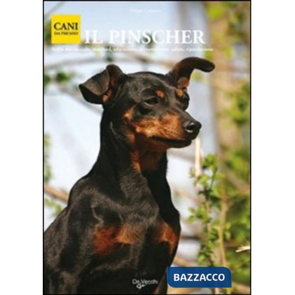 Pinscher (Il)