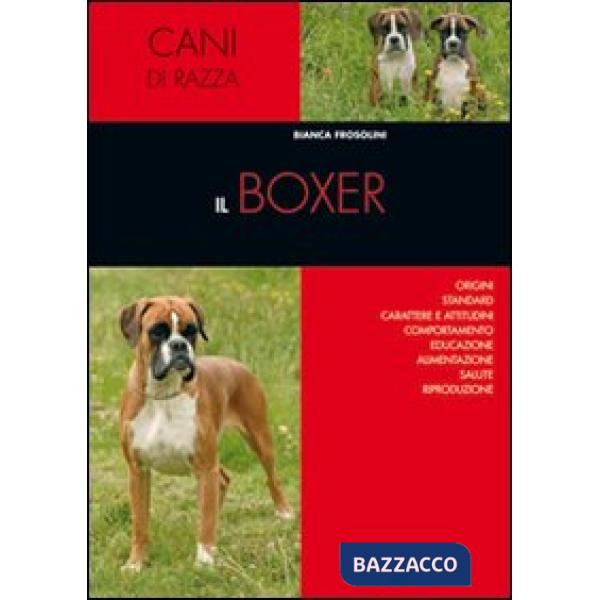 Boxer (Il)