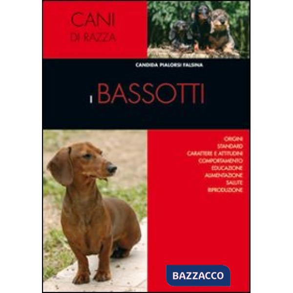 Bassotti
