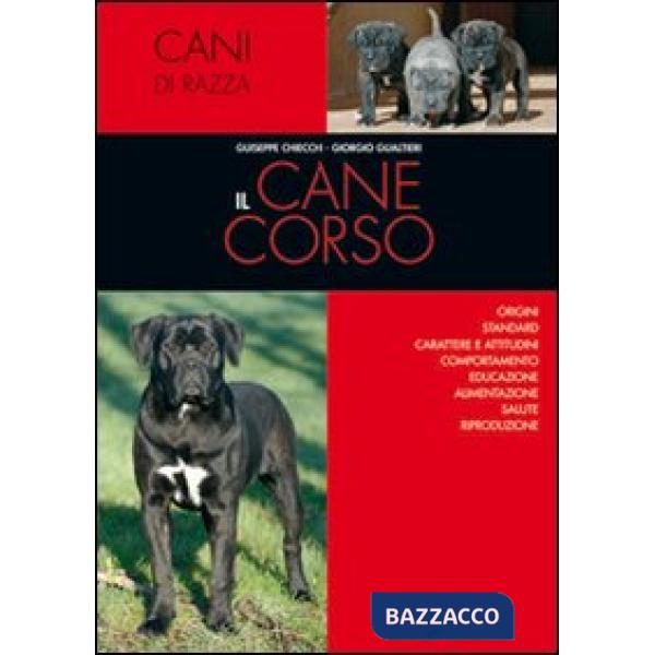 Cane corso (Il)