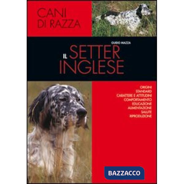 Setter inglese (Il)