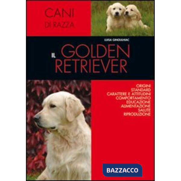 Golden retriever