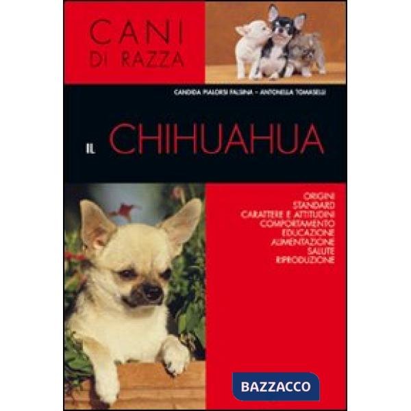 Chihuahua (Il)