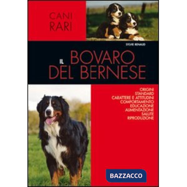 Bovaro del bernese (Il)