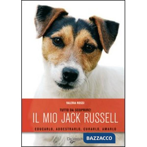 Jack russell (Il)