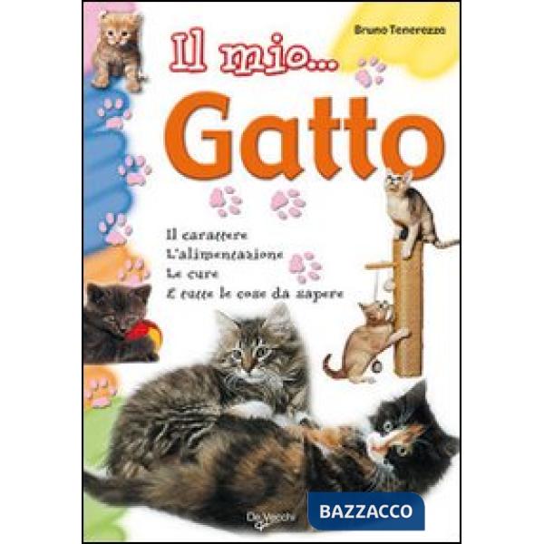 Mio... gatto (Il)
