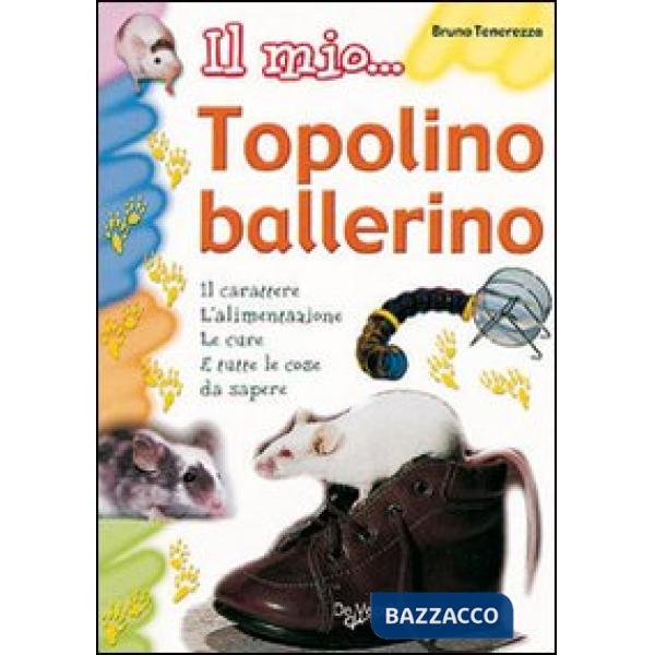 Mio... topolino ballerino (Il)
