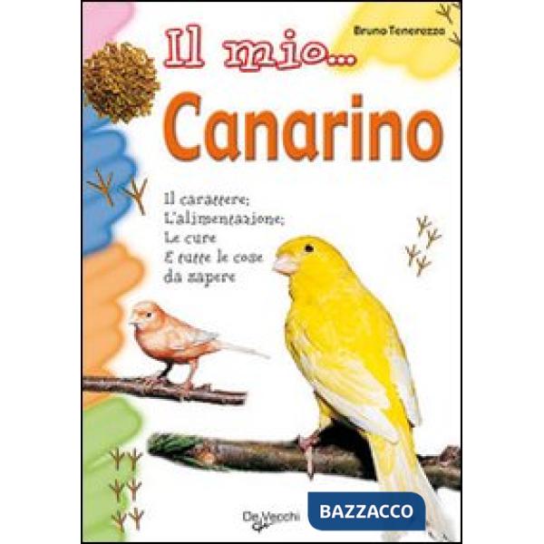 Mio... canarino (Il)