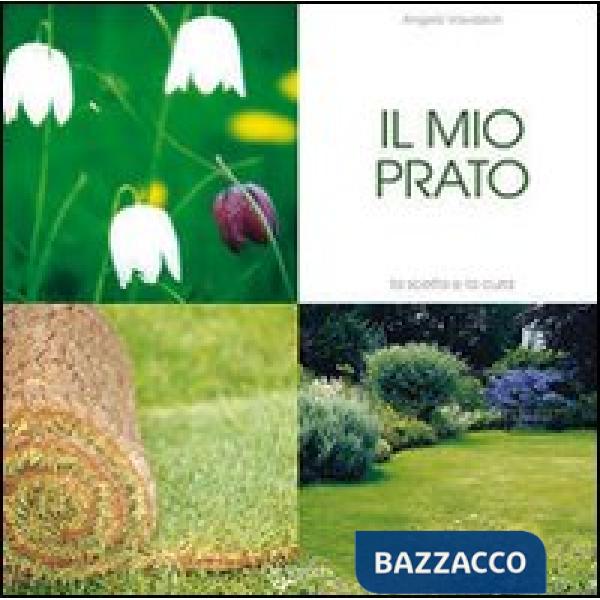 Mio prato ornamentale (Il)
