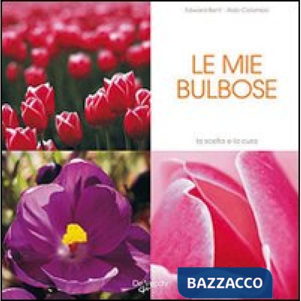 Miei tulipani e bulbose (I)