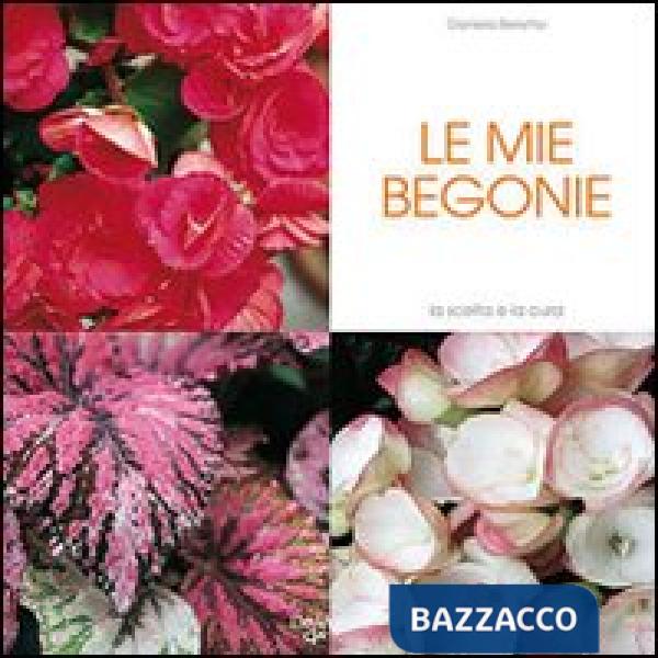 Mie begonie (Le)