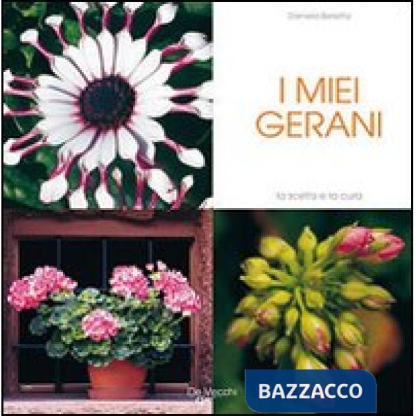 Miei gerani (I)