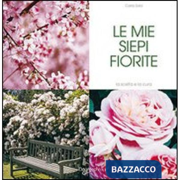 Miei arbusti fioriti e siepi (I)