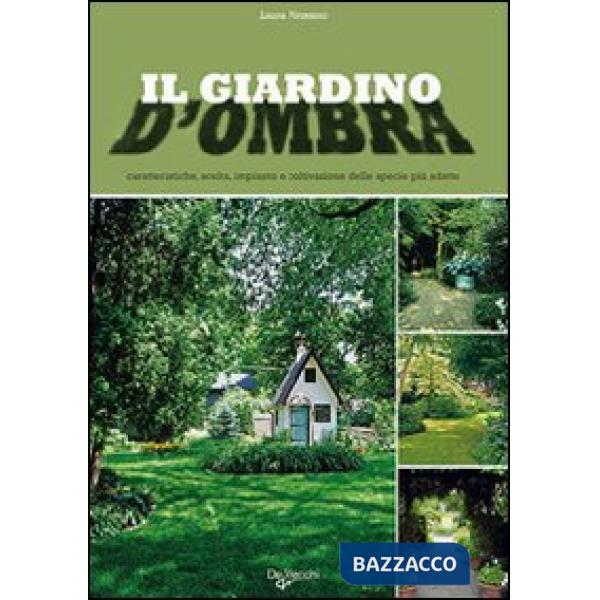 Giardino d'ombra (Il)