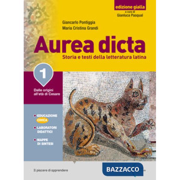 AUREA DICTA GIALLA 2
