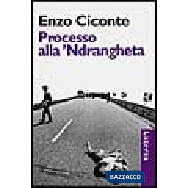 Processo alla 'ndrangheta