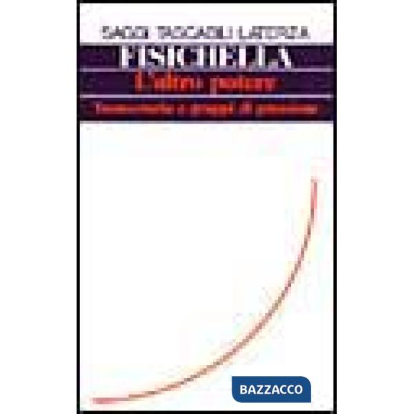 Altro potere. Tecnocrazia e gruppi di pressione (L')