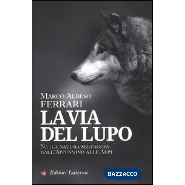 Via del lupo. Nella natura selvaggia dall'Appennino alle Alpi (La)