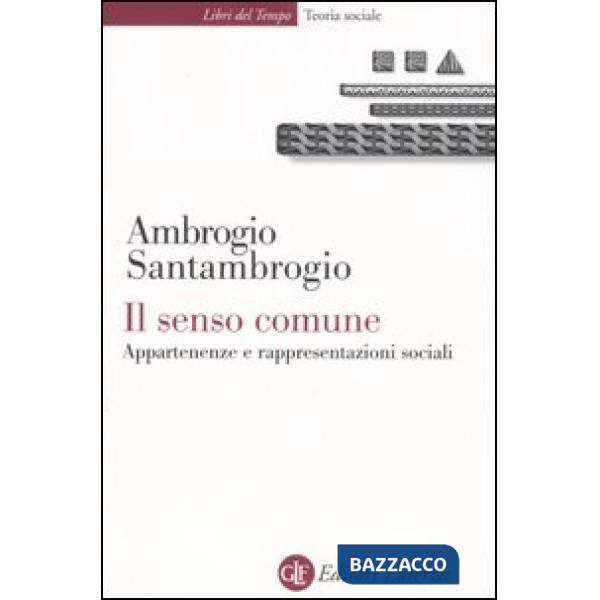 Senso comune. Appartenenze e rappresentazioni sociali (Il)