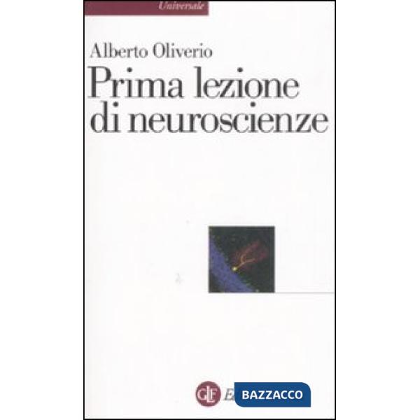 Prima lezione di neuroscienze
