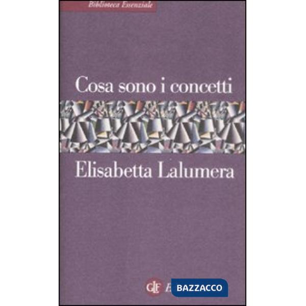 Cosa sono i concetti