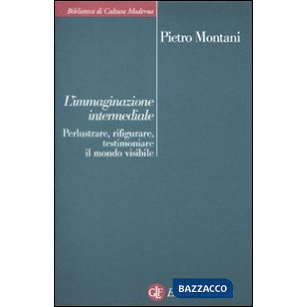 Immaginazione intermediale. Perlustrare, rifigurare, testimoniare il mondo visibile (L')