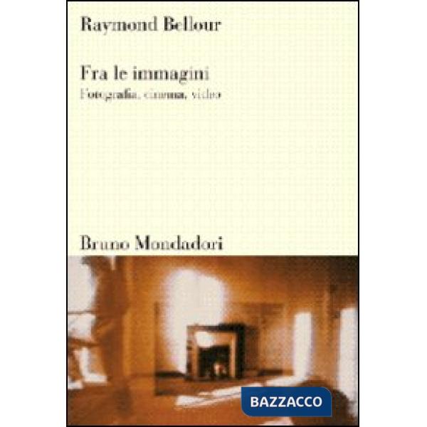 Fra le immagini. Fotografia, cinema, video. Ediz. illustrata