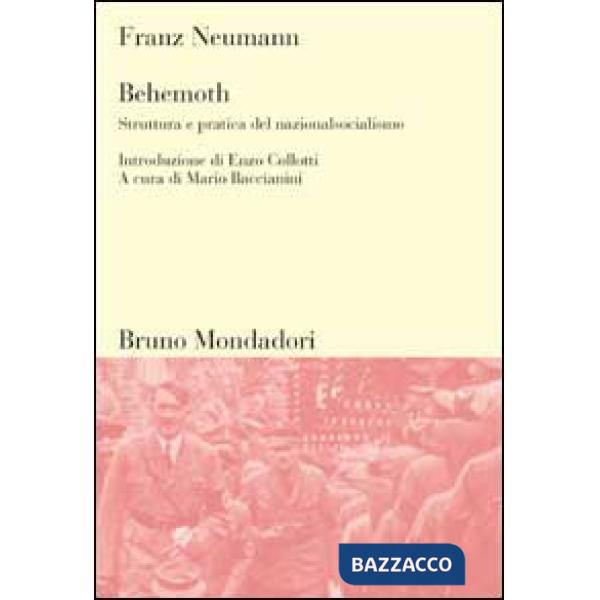 Struttura e pratica del nazionalsocialismo